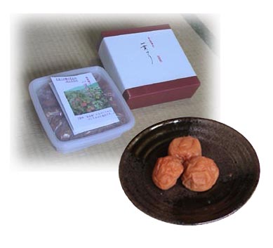 南高梅一貫づくりうす味